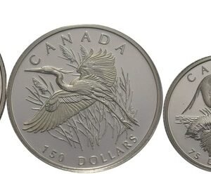 2002 Platinum Canadian Great Blue Heron Proof 4 coin set Boxed