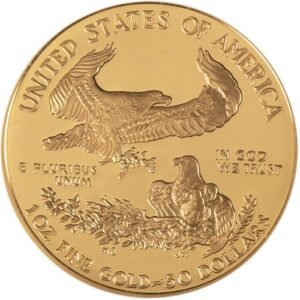 2008-W 1 oz Proof American Gold Eagle Coin (Box + CoA)