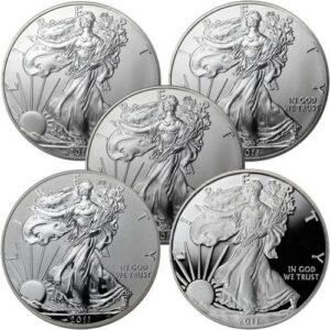 2011 American Silver Eagle 25th Anniversary 5-Coin Set (Box + CoA)