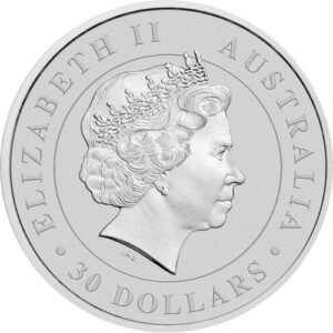 2013 1 Kilo Australian Silver Koala Coin (BU)