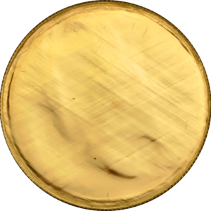 2014 Gold Britannia 1 oz Coin Uniface Obverse Mint Error NGC UNC DETAILS