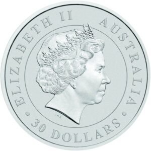 2017 1 Kilo Australian Silver Koala Coin (BU)