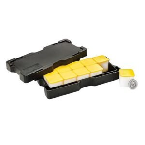 2019 1 oz British Platinum Queens Beast Black Bull Coin