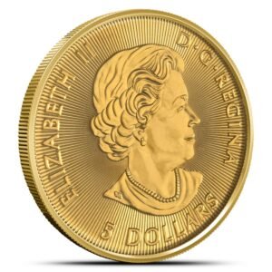 2019 1/10 oz Canadian Gold Polar Bear Coin