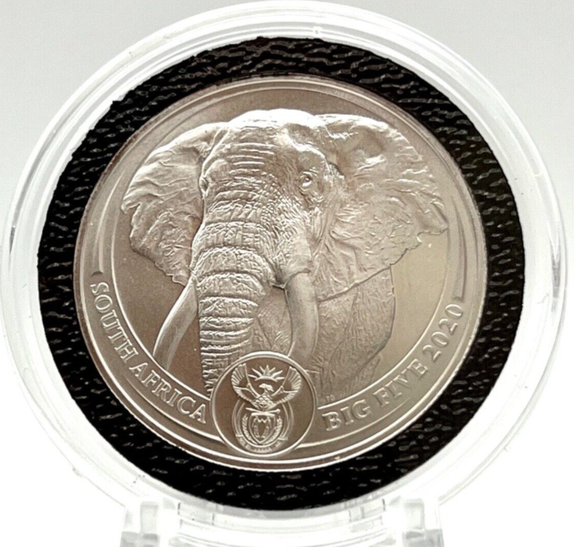 2020 1 oz Platinum South African Big