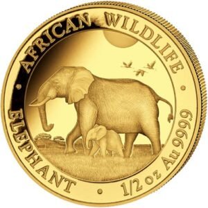2022 1/2 oz Somalia Gold Elephant Coin (BU)