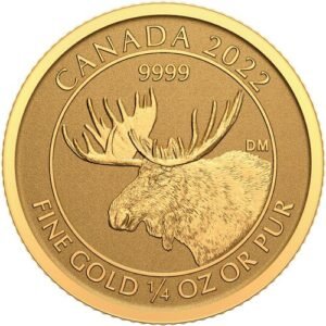 1/4 oz Canadian Gold Moose Reverse