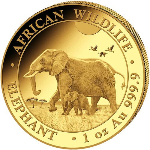 2022 Somalia Gold Elephant First Struck 6-Coin Collection - Image 2