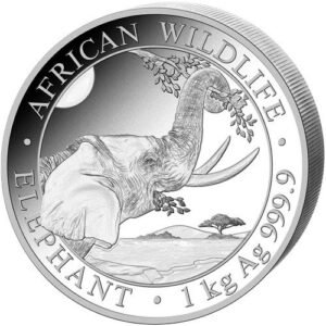 2023 1 Kilo Somalia Silver Elephant Coin (BU)