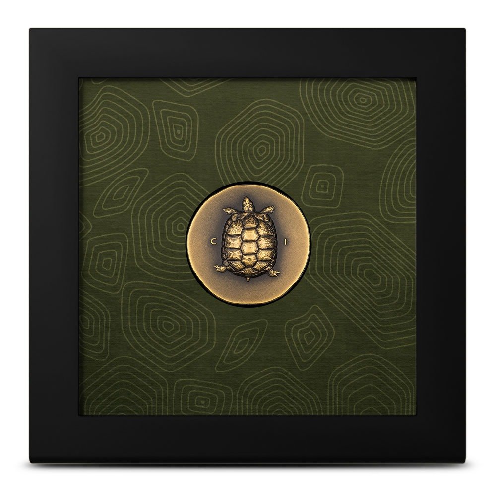 2023 1 oz Antique Cook Islands Gold Tortoise Coin - Image 3