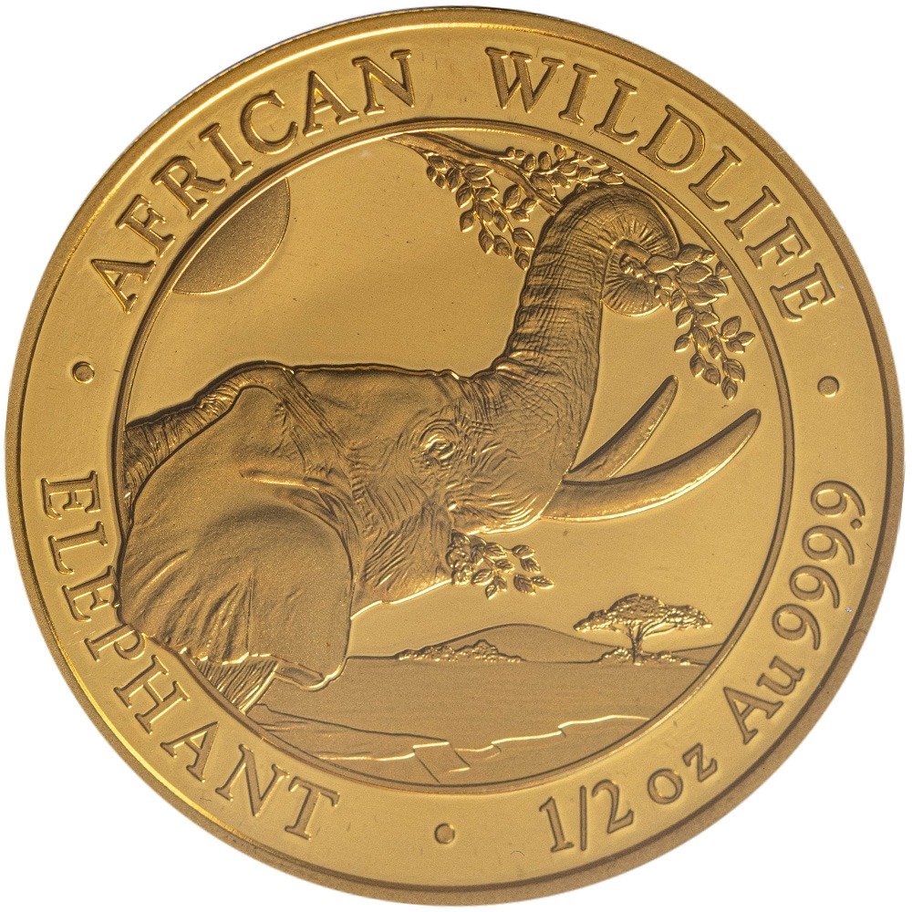 2023 Somalia Gold Elephant First Struck 6-Coin Collection - Image 2