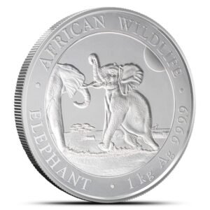 2024 1 Kilo Somalia Silver Elephant Coin (BU)