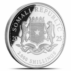 2025 1 Kilo Somalia Silver African Wildlife Leopard Coin (BU)