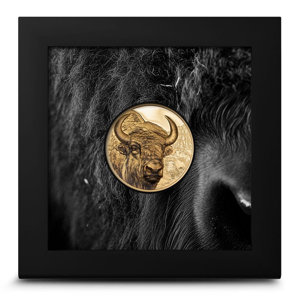 2025 1 oz Proof Mongolia Gold Bison Coin - Image 3