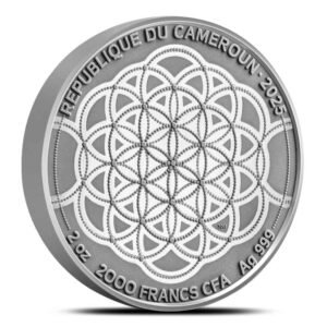 2025 2 oz Colorized Antique Cameroon Silver American Bison Coin (Box + CoA)