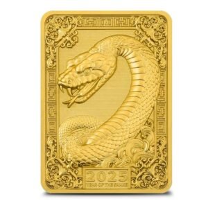 5 oz Fiji Silver Snake Rectangular C
