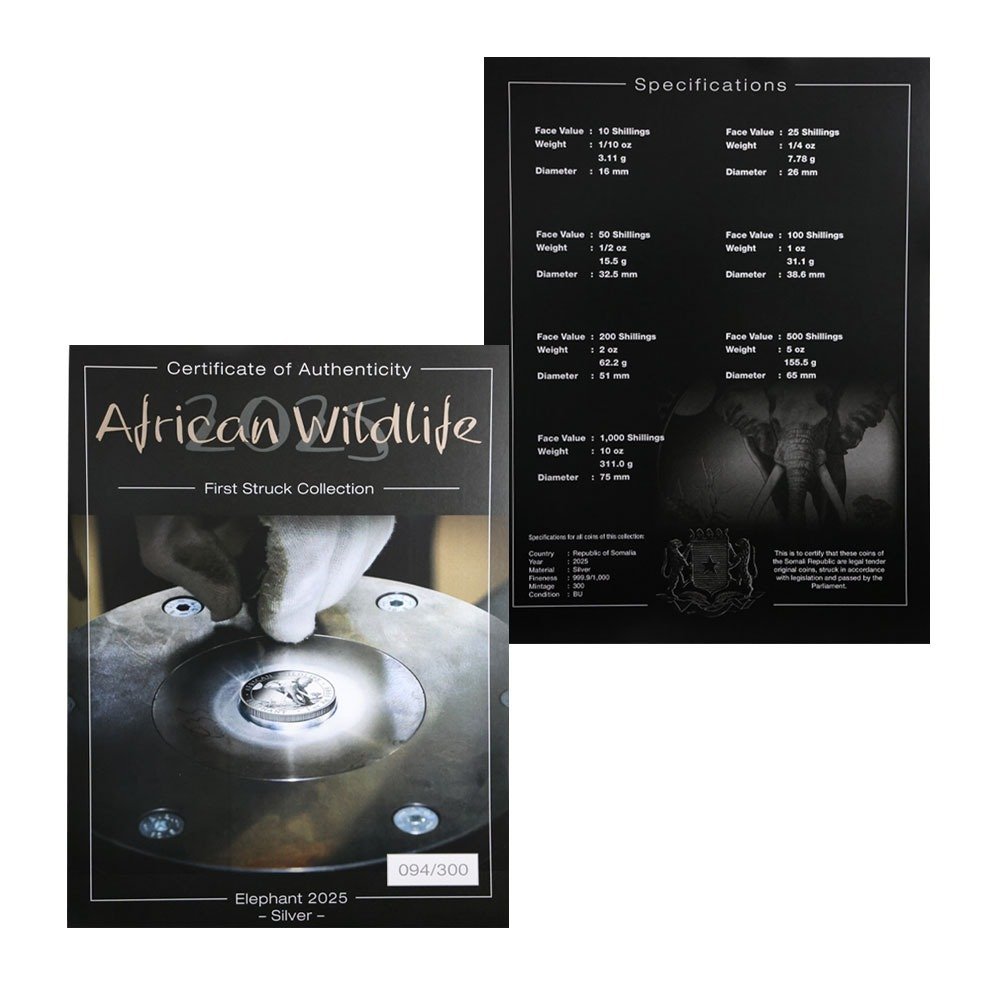 2025 Somalia Silver Elephant First Struck 7-Coin Collection - Image 2