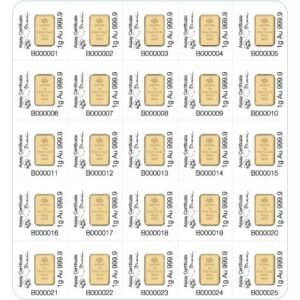 25 Gram PAMP Suisse Divisible Gold Bar (New w/ Assay, 25×1)