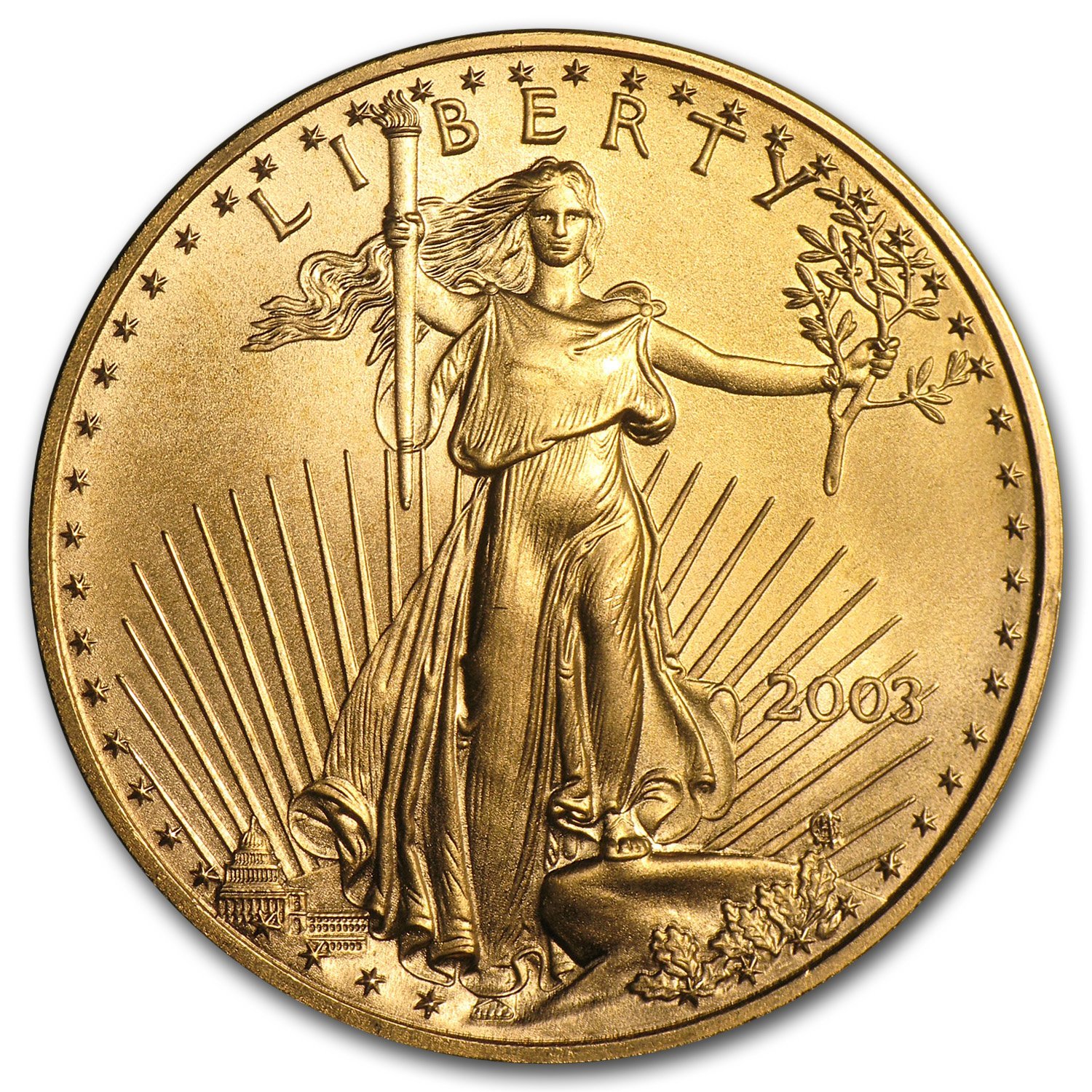 Buy 2003 1 oz American Gold Eagle Co