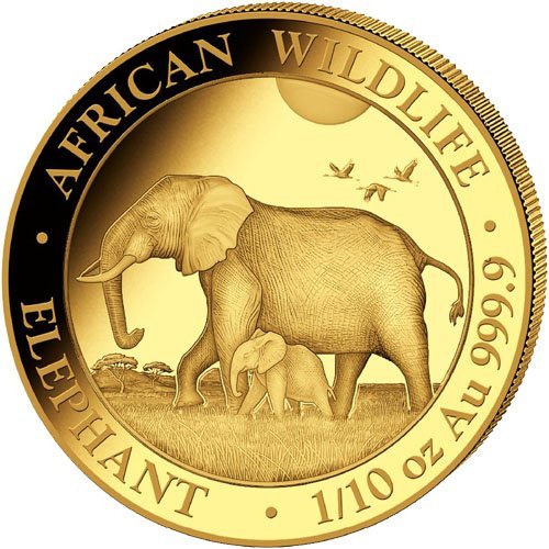 Buy 2022 1/10 oz Somalia Gold Elepha