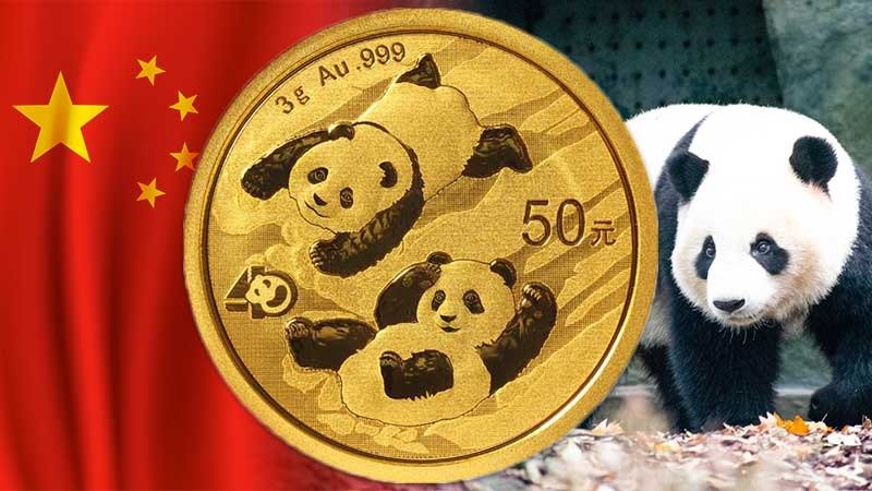 You are currently viewing Chinese Gold Pandas