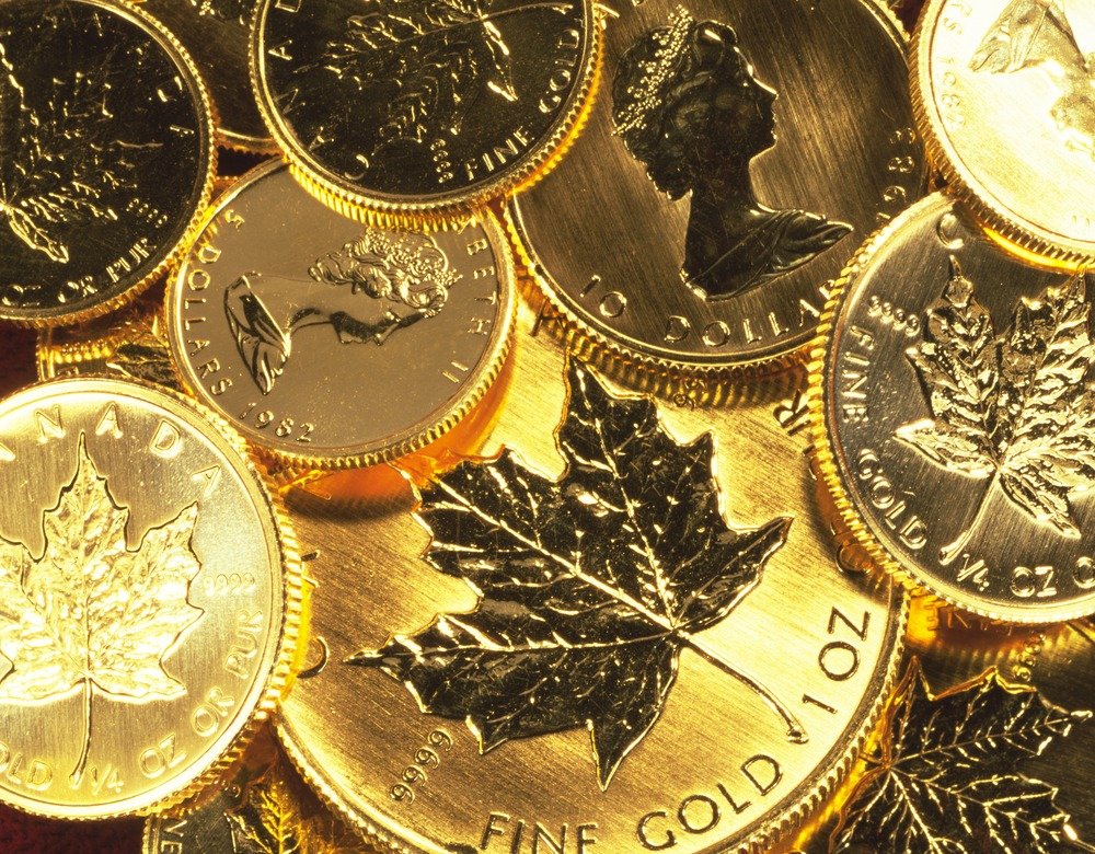 Canadian Gold Maples
