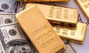 Precious Metals Portfolio Guide for Investors